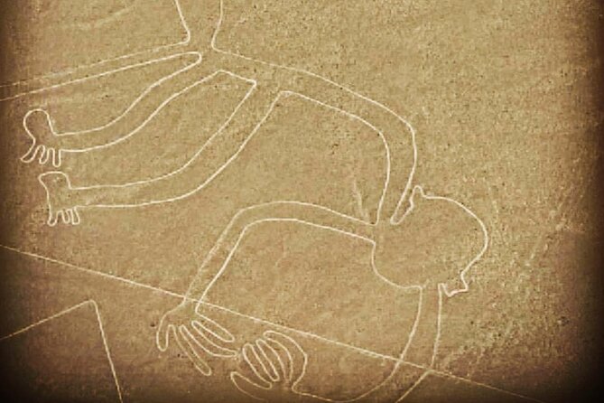 Private Tour to the Astonished Nazca Lines and Huacachina Oasis - FAQ