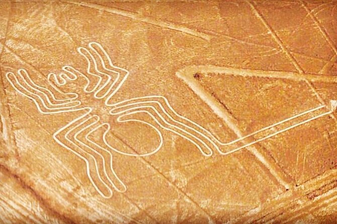 Private Tour to the Astonished Nazca Lines and Huacachina Oasis - The Nazca Lines flight from Pisco