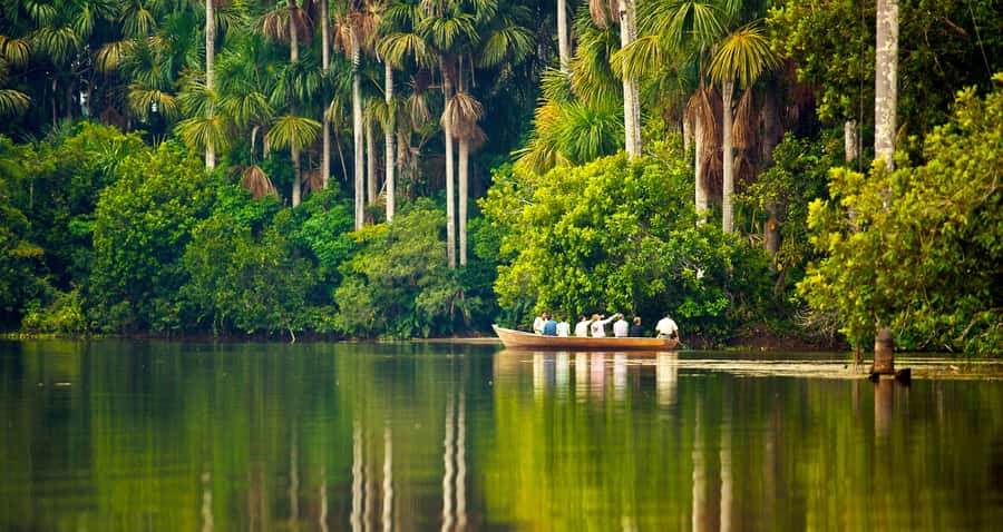 Puerto Maldonado: 2-Day Peruvian Tambopata Jungle Trip - What the $280 price covers