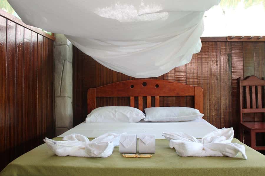 Puerto Maldonado: 2-Day Peruvian Tambopata Jungle Trip - Returning by river to Puerto Maldonado