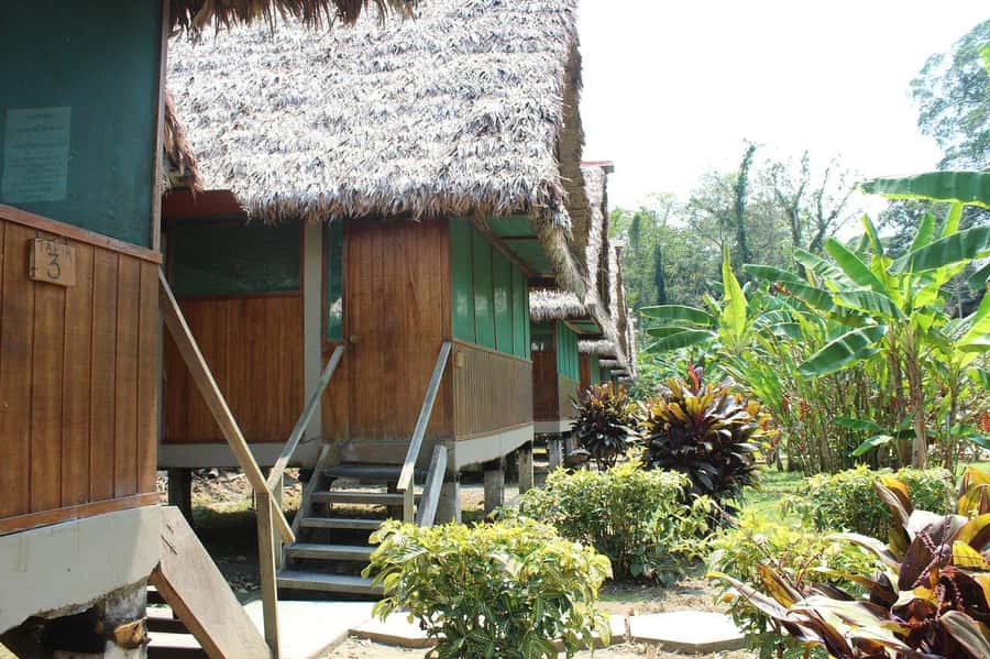 Puerto Maldonado: 2-Day Peruvian Tambopata Jungle Trip - Group size, guides, and the quality of the wildlife search