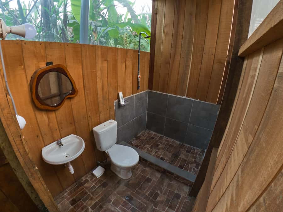 Puerto Maldonado: 4-Day Tambopata Rainforest Tour - Who should book this rainforest experience?