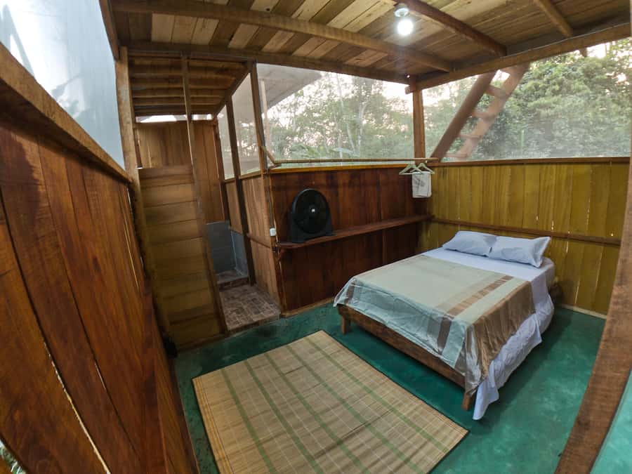Puerto Maldonado: 4-Day Tambopata Rainforest Tour - Day 2: Sloths, caimans, and Lake Sandoval