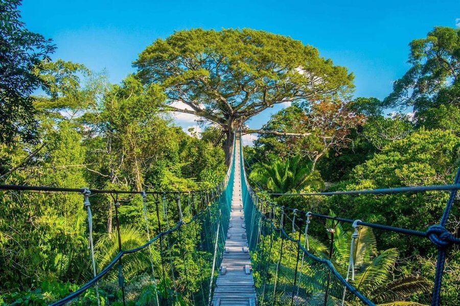 Puerto Maldonado: Jungle Adventure |Zipline + Canopy + Kayak - Lunch and the real pace of the afternoon