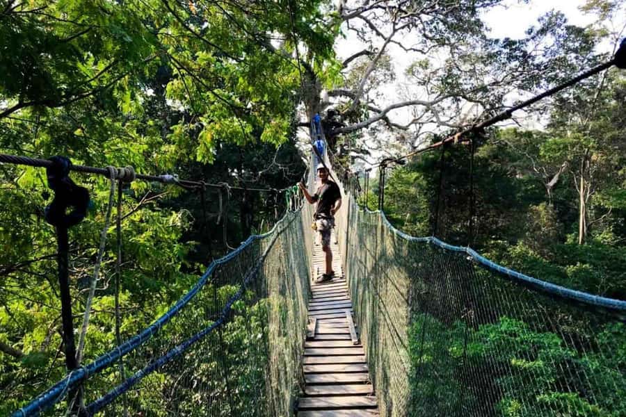 Puerto Maldonado: Jungle Adventure |Zipline + Canopy + Kayak - Crossing the jungle bridge and watching for birds