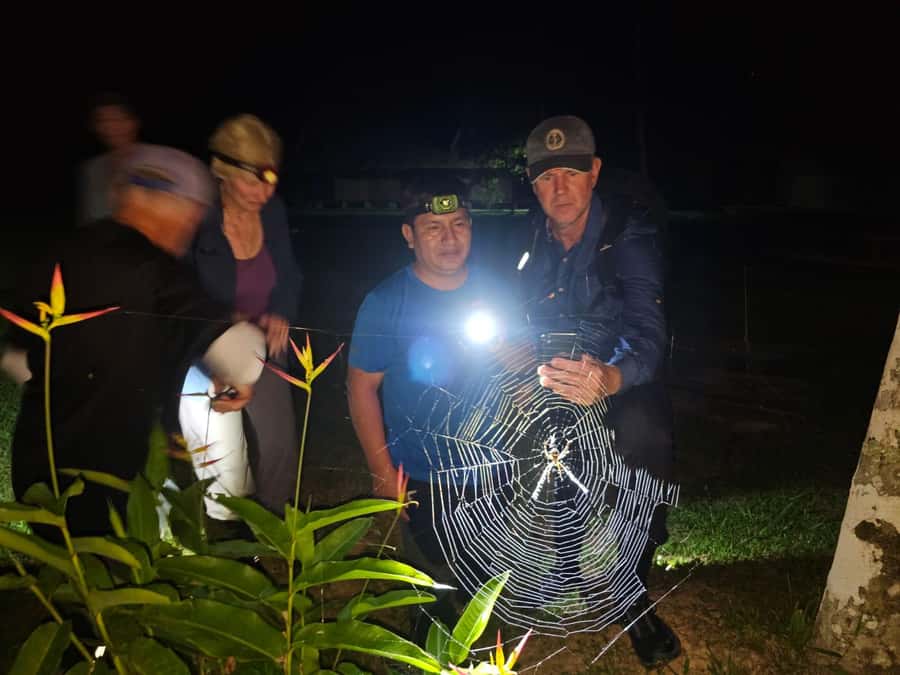 Puerto Maldonado: Jungle Night Tour with Sloths & Tarantulas - Key points to know before you go