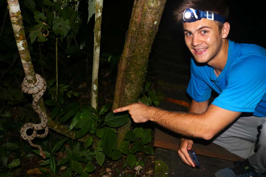 Puerto Maldonado: Jungle Night Tour with Sloths & Tarantulas - Why Tambopata is worth seeing after dark