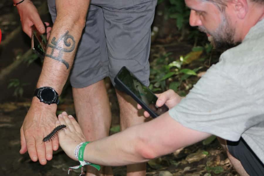 Puerto Maldonado: Jungle Night Tour with Sloths & Tarantulas - What the $45 price includes