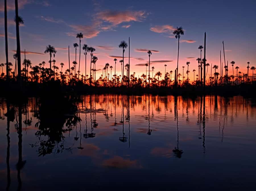 Puerto Maldonado: Lake Yacumama sunset and piranha fishing - Why Lake Yacumama works as a half-day outing