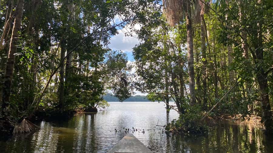 Puerto Maldonado: Sandoval Lake 4-Day, 3-Night Guided Tour - Arriving in Puerto Maldonado and Reaching the Lodge