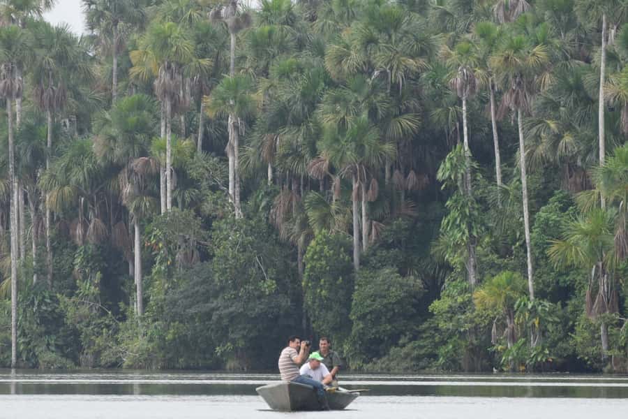 Puerto Maldonado: Sandoval Lake Full-Day Trip with Canoeing - What this Sandoval Lake trip is really like