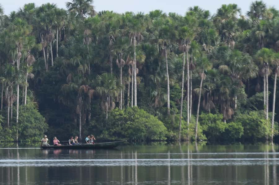 Puerto Maldonado: Sandoval Lake Full-Day Trip with Canoeing - Noon pickup and the ride along the Madre de Dios