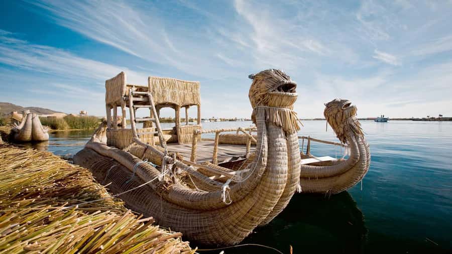 Puno: Full-Day Tour of Lake Titicaca and Uros & Taquile - Who gets the best value from the $33 price