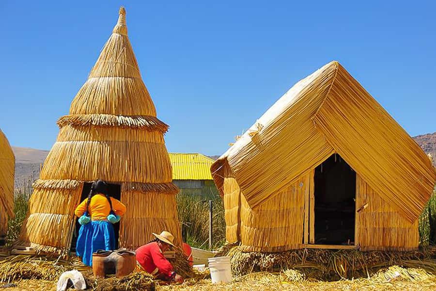 Puno: Lake Titicaca Day Tour - Starting Early From Central Puno