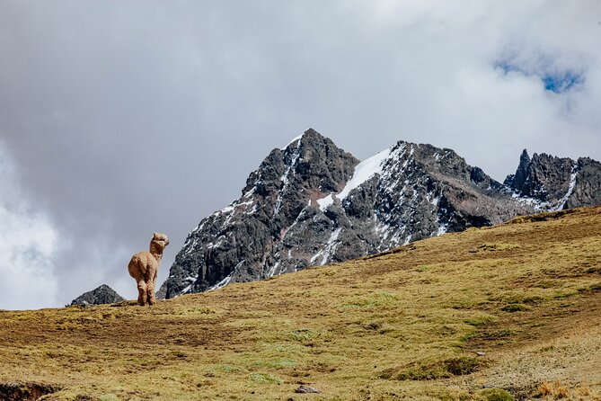 Rainbow Mountain and Red Valley Hike – 2 Days / 1 Night - Camping at Surinecocha