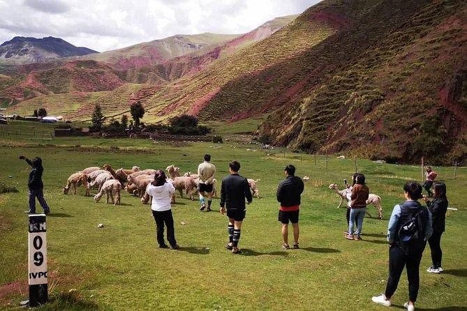 Rainbow Mountain Palccoyo 1 day ( Cusco ) - What You See at 4,900 Meters