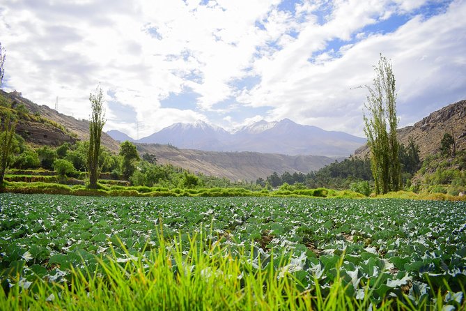 Rock climbing in Arequipa and the Andes of Peru - Is $49 a fair price?