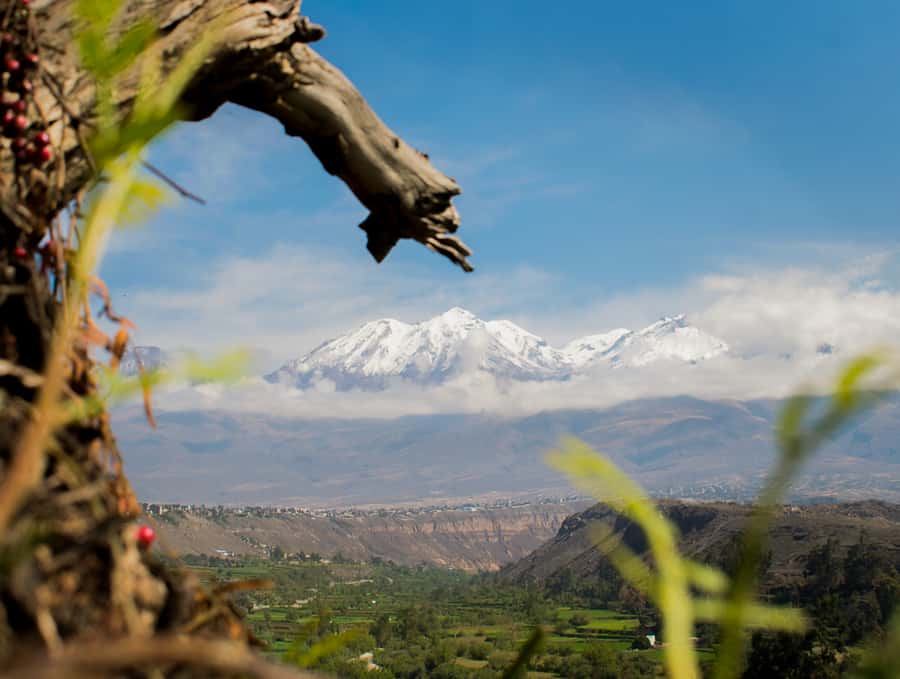 Rock Climbing in Arequipa, Perú - Three hours of climbing, from easy to challenging