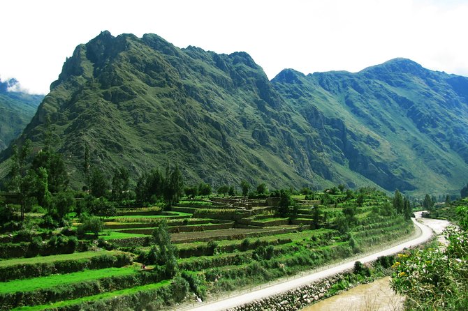 Sacred Valley and Machu Picchu 2-day Tour - Awanacancha and the four camel species