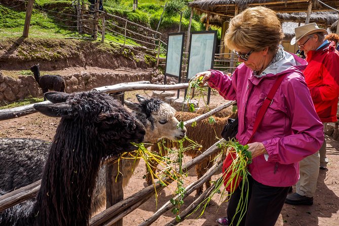 Sacred Valley and Machu Picchu Tour in 2 days with Peru Vip - Urubamba brings a welcome buffet lunch