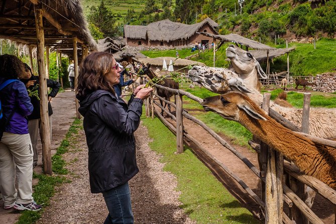 Sacred Valley and Machu Picchu Tour in 2 days with Peru Vip - Ollantaytambo is the day one highlight