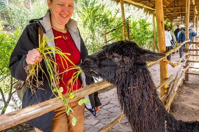 Sacred Valley and Machu Picchu Tour in 2 days with Peru Vip - Machu Picchu begins before sunrise