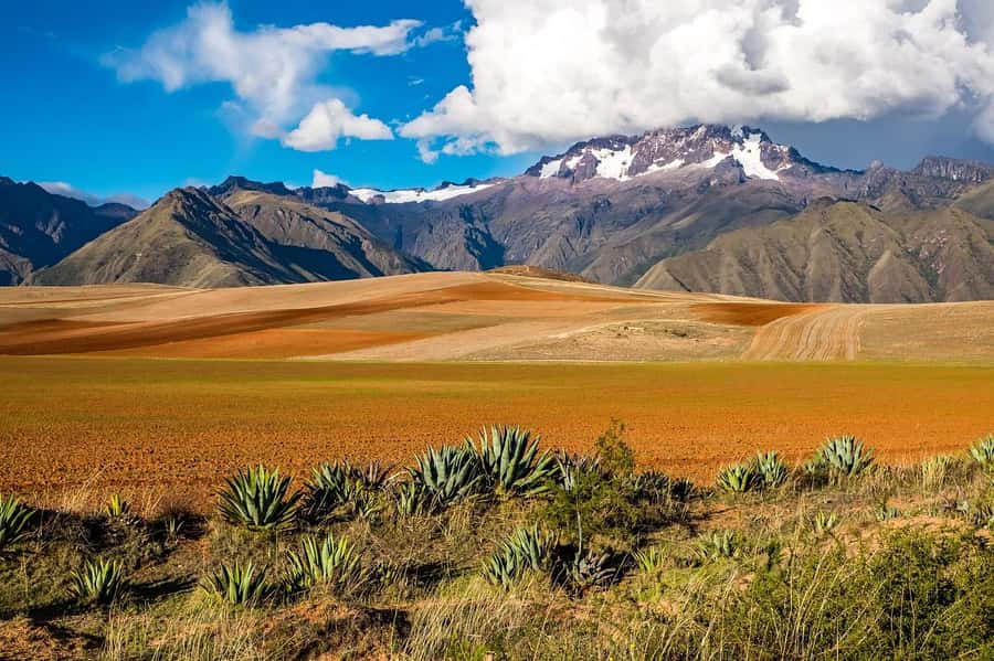 Sacred Valley: Chinchero, Moray, Ollantaytambo & Pisac+Lunch - Urubamba lunch: the day’s pleasant surprise