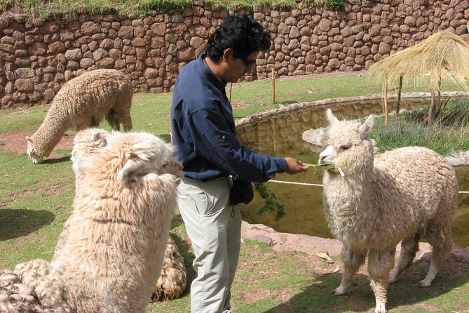 Sacred Valley Tour with Pisac Ruins: Private Full-Day - Pisac’s market and colonial village