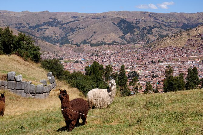Sacsayhuaman Temple, Tambomachay and Puca Pucara Half-Day Tour - Timing, Crowds, and the Real Length of the Tour