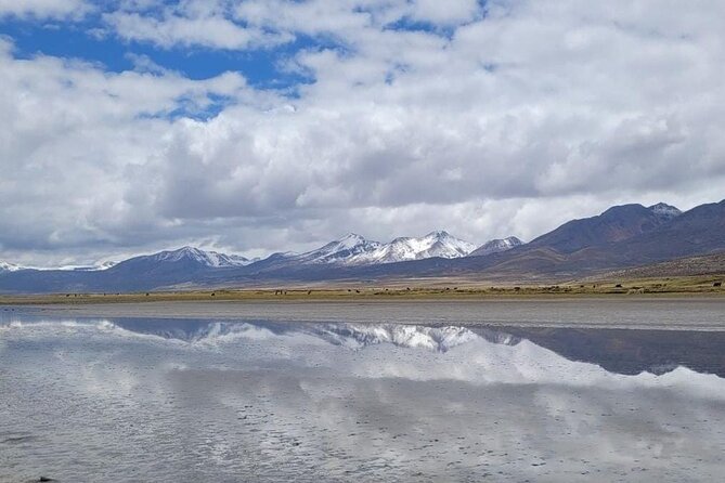 Salar de Salinas Adventure from Arequipa from 6:00am to 1:30pm - Key points at a glance