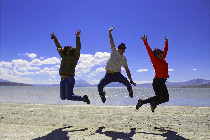 Salinas and Aguada Blanca Reserve Tour from Arequipa - Misti Volcano and the changing scenery