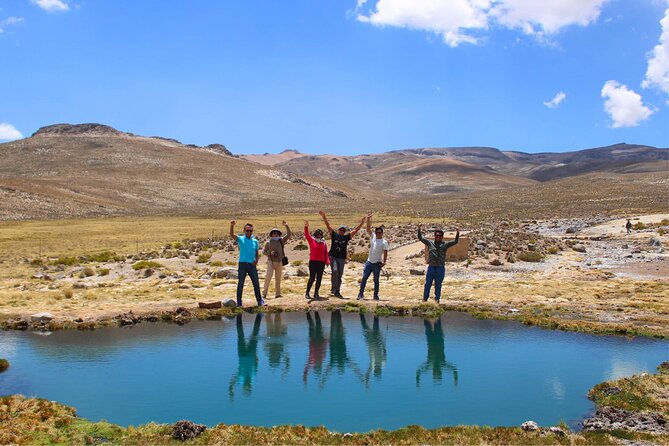 Salinas and Aguada Blanca Reserve Tour from Arequipa - Vicuñas, alpacas, and llamas in the reserve