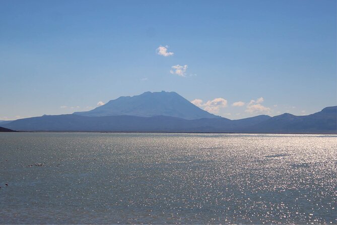 Salinas and Aguada Blanca Reserve Tour from Arequipa - What the guide adds to the day