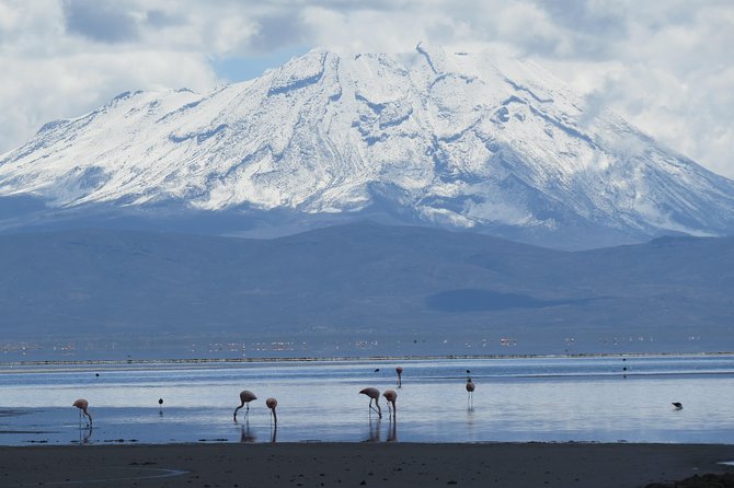 Salinas National Reserve PRIVATE TOUR - Why a private tour changes the experience