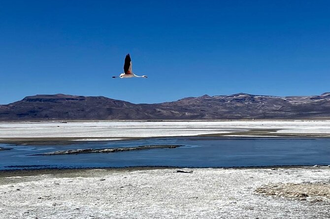 Salinas National Reserve PRIVATE TOUR - Julio’s guiding style