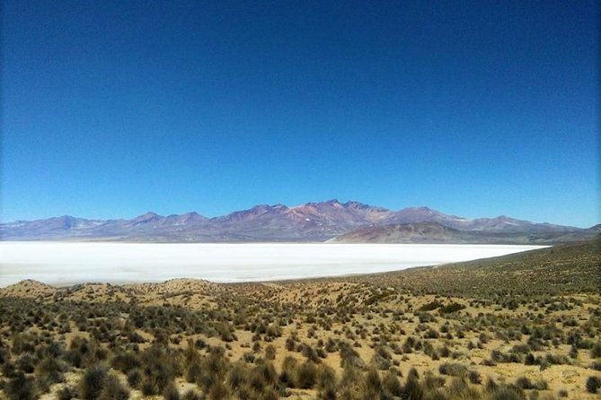 Salinas Salt Lagoon Private tour - Day Trip from Arequipa - Salinas y Aguada Blanca National Reserve