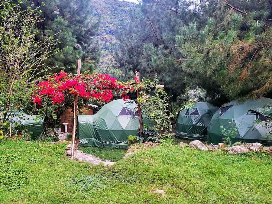 Salkantay Trek to Machu Picchu 5D/4N or 4D/3N by glamping - Day 3: Coffee, hot springs, and the move into the jungle