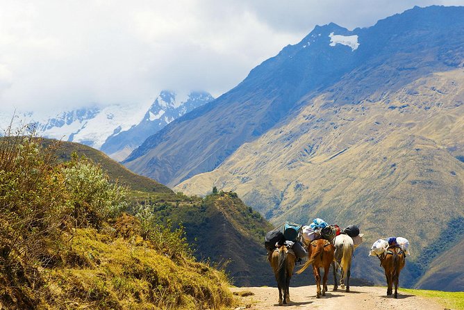 Salkantay Trek to Machu Picchu in 4 days - Key points to know before booking