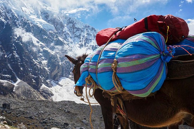 Salkantay Trek to Machu Picchu in 4 days - Day three: Coffee farms, the Urubamba River, and Aguas Calientes