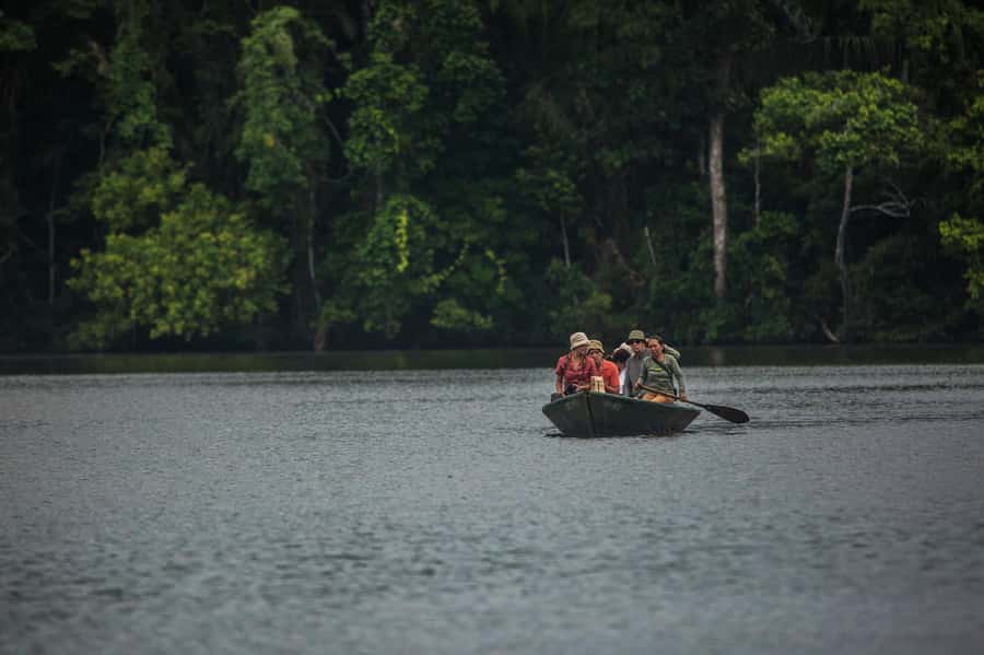 Sandoval lake 2 Days / 1 Night - The forest walks: primary and secondary jungle