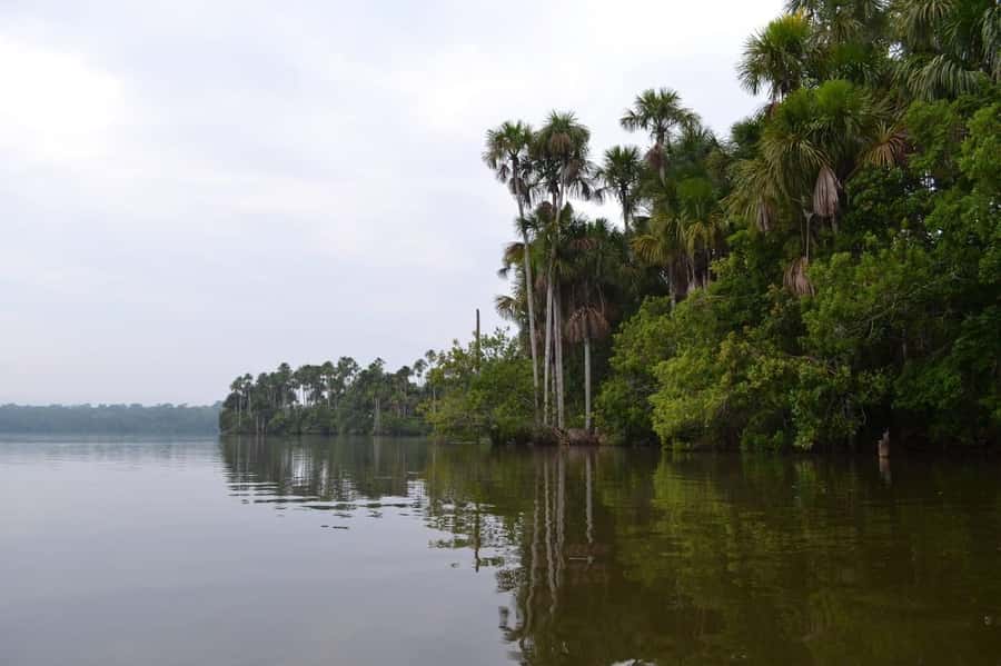 Sandoval lake 2 Days / 1 Night - Night activities and the search for caimans