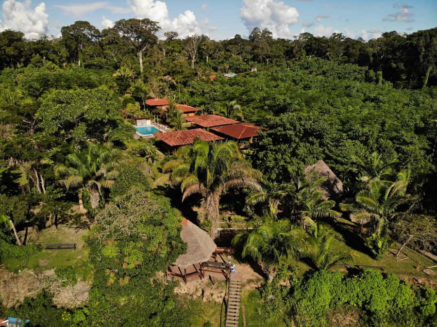 Sandoval lake 3 Days / 2 Nights - A short Amazon trip based in Puerto Maldonado