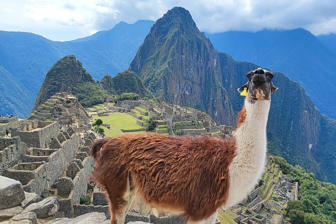 Shared 1 Day Machu Picchu Tour from Cusco - The evening train and late return to Cusco