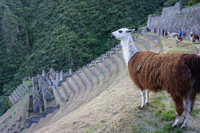 Short Inca Trail to Machu Picchu - 2 days - Glamping Service - What the $680.46 price really covers