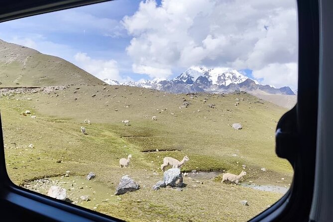 Singrenacocha Lagoon from Cusco - The 4,525-Meter Walk to the Lagoon