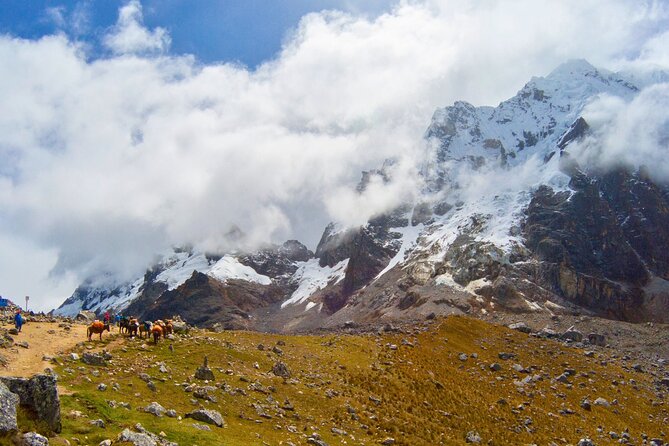 Small Group 5 Days Salkantay and Machu Picchu by Llactapata Tour - Day five: first light at Machu Picchu