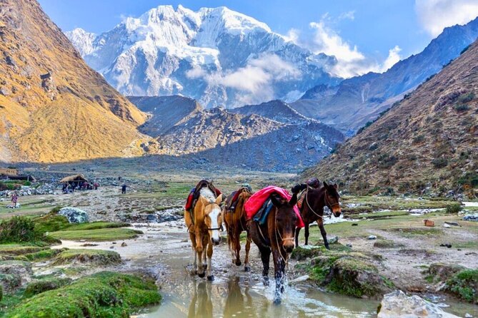 Small Group 5 Days Salkantay and Machu Picchu by Llactapata Tour - Camping, meals, gear, and group comfort