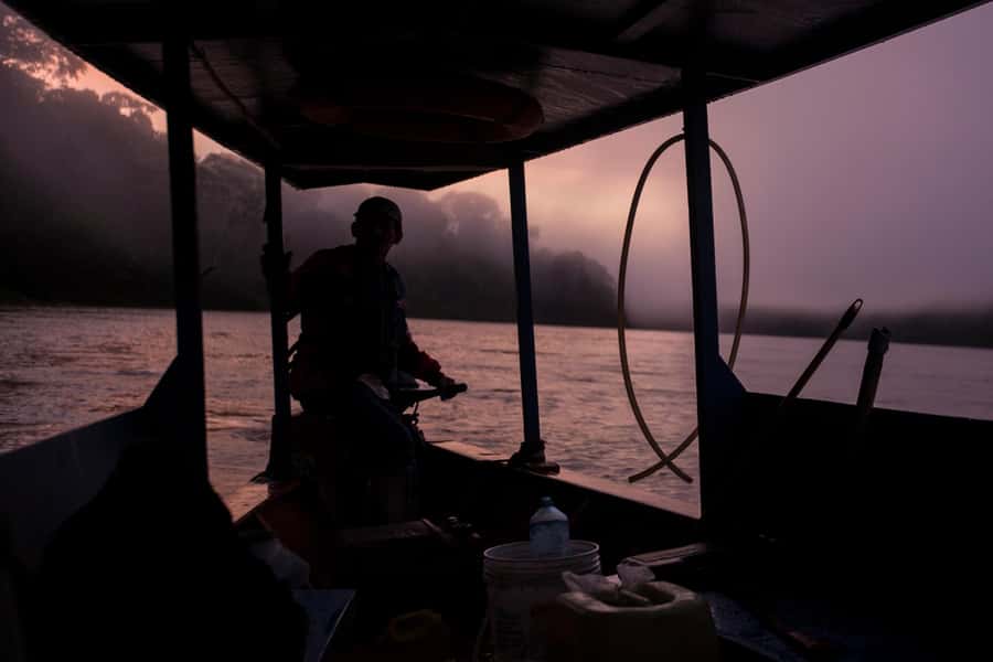 Tambopata Macaw Clay Lick 4 days/3 nights - What this four-day jungle trip is really about