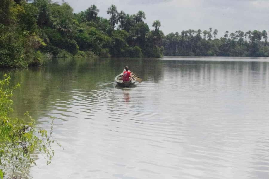 Tambopata: Multi-Day Amazon Rainforest Tour with Local Guide - From Puerto Maldonado to the Madre de Dios River