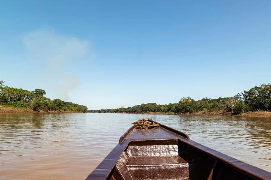 Tambopata: Multi-Day Amazon Rainforest Tour with Local Guide - Is $387 a fair price?
